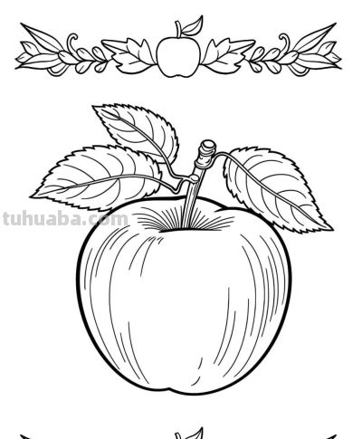 水果的简笔绘画线稿 - 图画吧TUHUABA