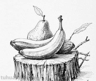 绘画丨水果合集 - 今日头条