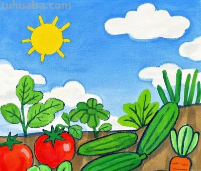 儿童绘画《蔬菜系列》各种蔬菜 - 儿童绘画《蔬菜系列》各种蔬菜 - 图画吧TUHUABA