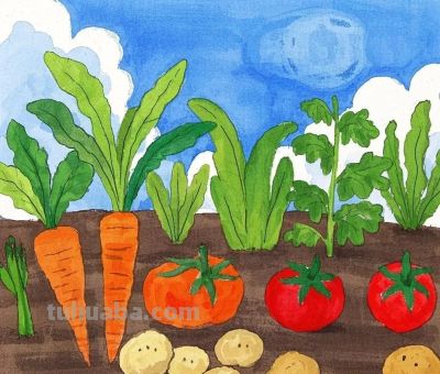 儿童绘画《蔬菜系列》各种蔬菜 - 儿童绘画《蔬菜系列》各种蔬菜 - 图画吧TUHUABA