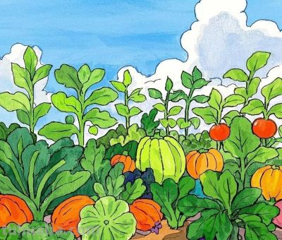 儿童绘画《蔬菜系列》各种蔬菜 - 儿童绘画《蔬菜系列》各种蔬菜 - 图画吧TUHUABA