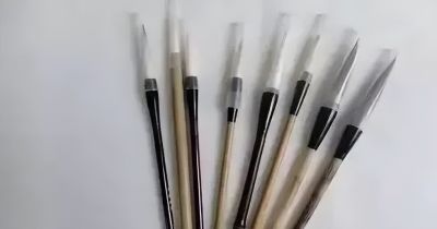 瓜果蔬菜，这么画水润！ - 图画吧TUHUABA