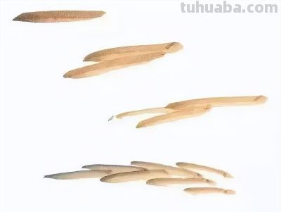 瓜果蔬菜，这么画水润！ - 图画吧TUHUABA