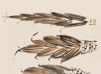 瓜果蔬菜，这么画水润！ - 图画吧TUHUABA