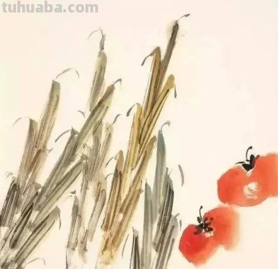 瓜果蔬菜，这么画水润！ - 图画吧TUHUABA