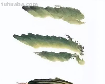 瓜果蔬菜，这么画水润！ - 图画吧TUHUABA