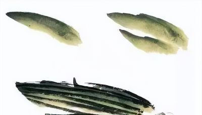 瓜果蔬菜，这么画水润！ - 图画吧TUHUABA