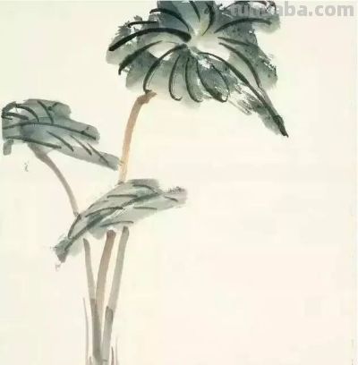 瓜果蔬菜，这么画水润！ - 图画吧TUHUABA