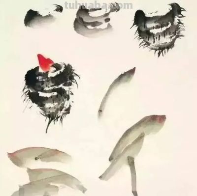 瓜果蔬菜，这么画水润！ - 图画吧TUHUABA