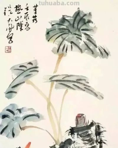 瓜果蔬菜，这么画水润！ - 图画吧TUHUABA