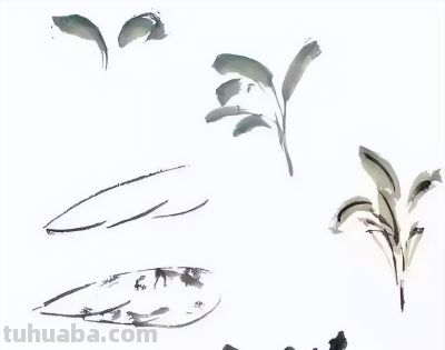 瓜果蔬菜，这么画水润！ - 图画吧TUHUABA