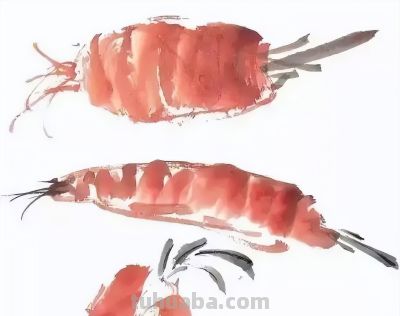 瓜果蔬菜，这么画水润！ - 图画吧TUHUABA