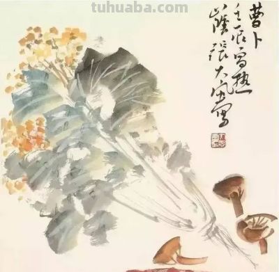 瓜果蔬菜，这么画水润！ - 图画吧TUHUABA