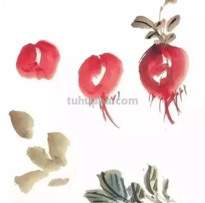 瓜果蔬菜，这么画水润！ - 图画吧TUHUABA