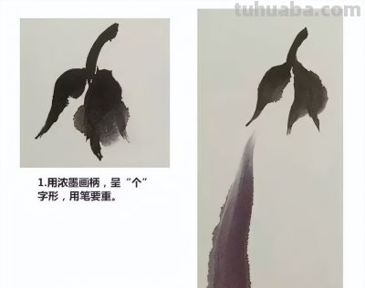 瓜果蔬菜，这么画水润！ - 图画吧TUHUABA