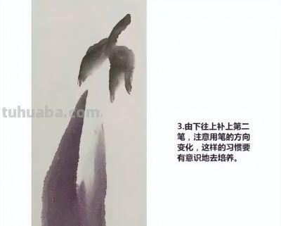 瓜果蔬菜，这么画水润！ - 图画吧TUHUABA