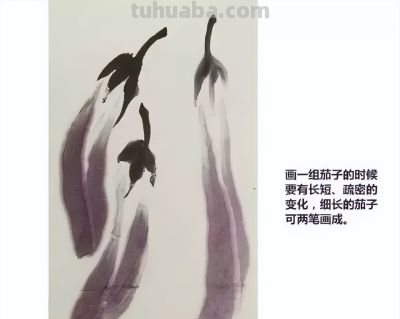 瓜果蔬菜，这么画水润！ - 图画吧TUHUABA