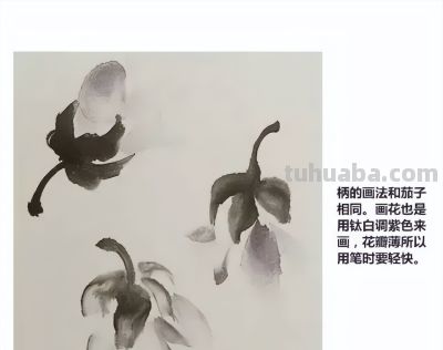 瓜果蔬菜，这么画水润！ - 图画吧TUHUABA