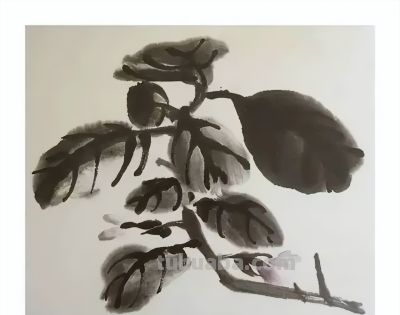 瓜果蔬菜，这么画水润！ - 图画吧TUHUABA