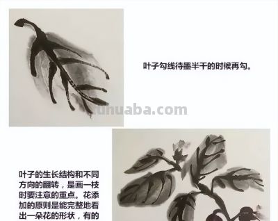 瓜果蔬菜，这么画水润！ - 图画吧TUHUABA