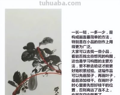 瓜果蔬菜，这么画水润！ - 图画吧TUHUABA