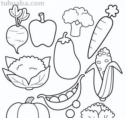 100个水果蔬菜线稿资料，收藏备用