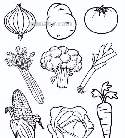 100个水果蔬菜线稿资料，收藏备用 - 图画吧TUHUABA