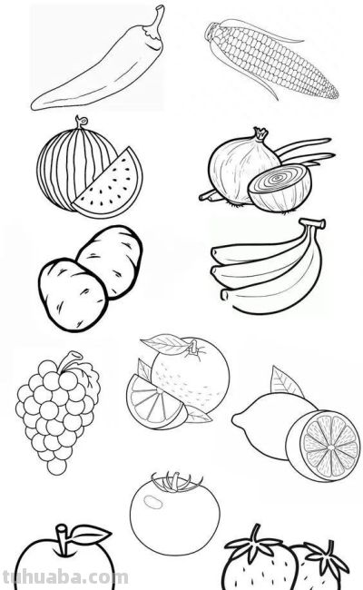 100个水果蔬菜线稿资料，收藏备用 - 图画吧TUHUABA