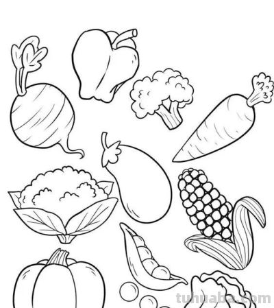 100个水果蔬菜线稿资料，收藏备用 - 图画吧TUHUABA