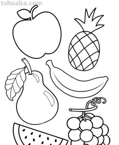 100个水果蔬菜线稿资料，收藏备用 - 图画吧TUHUABA
