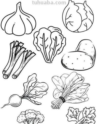 100个水果蔬菜线稿资料，收藏备用 - 图画吧TUHUABA