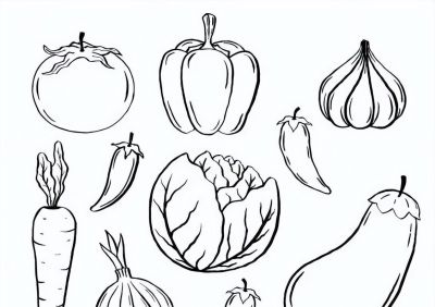 100个水果蔬菜线稿资料，收藏备用 - 图画吧TUHUABA