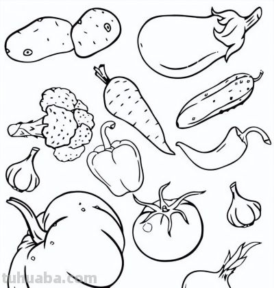 100个水果蔬菜线稿资料，收藏备用 - 图画吧TUHUABA