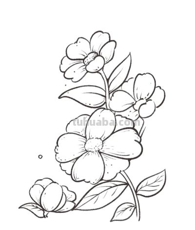 你要的花朵简笔画合集，快来一起临摹学习啦！ - 图画吧TUHUABA
