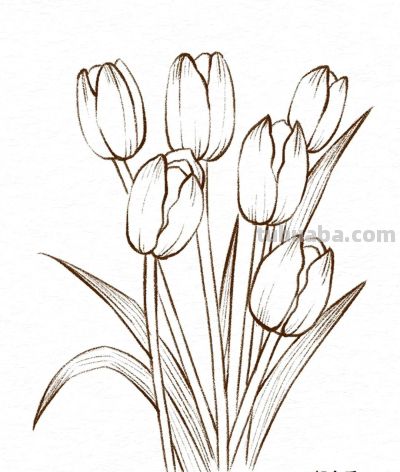 你要的花朵简笔画合集，快来一起临摹学习啦！ - 图画吧TUHUABA