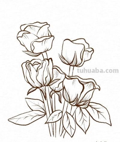 你要的花朵简笔画合集，快来一起临摹学习啦！ - 图画吧TUHUABA