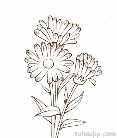 你要的花朵简笔画合集，快来一起临摹学习啦！ - 图画吧TUHUABA