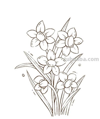 你要的花朵简笔画合集，快来一起临摹学习啦！ - 图画吧TUHUABA