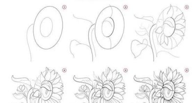 有手就能画！花卉简笔画教程 - 图画吧TUHUABA