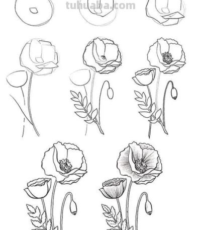 有手就能画！花卉简笔画教程 - 图画吧TUHUABA