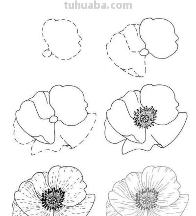 有手就能画！花卉简笔画教程 - 图画吧TUHUABA