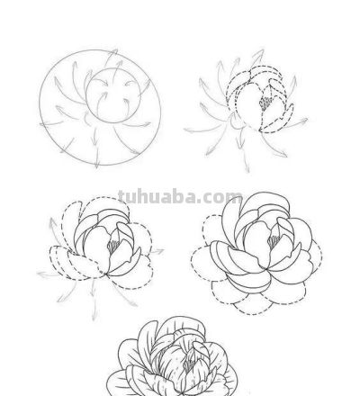 有手就能画！花卉简笔画教程 - 图画吧TUHUABA