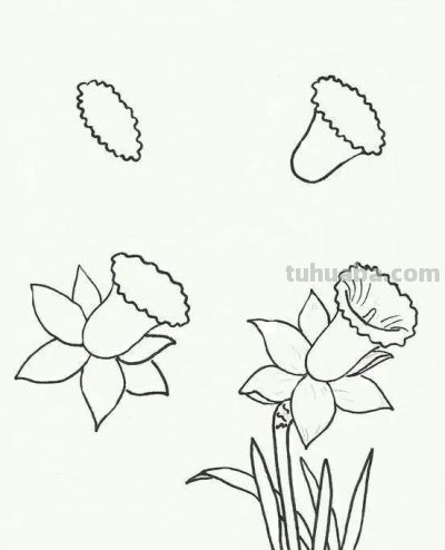 有手就能画！花卉简笔画教程 - 图画吧TUHUABA