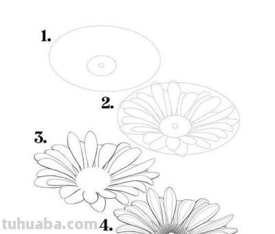 有手就能画！花卉简笔画教程 - 图画吧TUHUABA