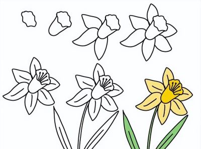 有手就能画！花卉简笔画教程 - 图画吧TUHUABA