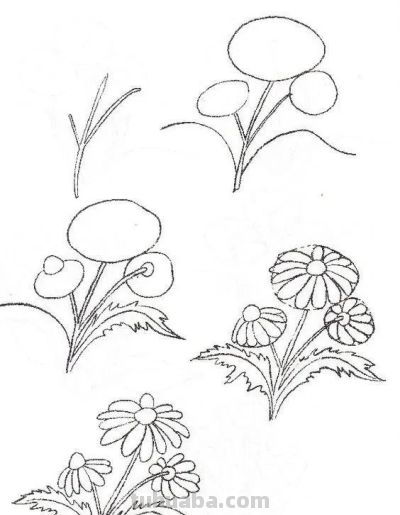 有手就能画！花卉简笔画教程 - 图画吧TUHUABA