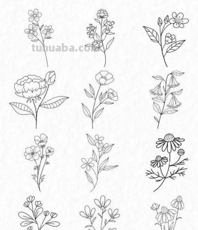 100个花卉简笔画线稿图，临摹学画 - 图画吧TUHUABA
