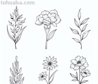 100个花卉简笔画线稿图，临摹学画 - 图画吧TUHUABA