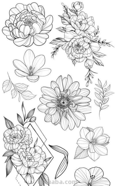 100个花卉简笔画线稿图，临摹学画 - 图画吧TUHUABA