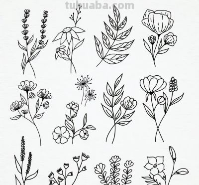 100个花卉简笔画线稿图，临摹学画 - 图画吧TUHUABA